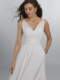21553 Bridesmaid Dress detail