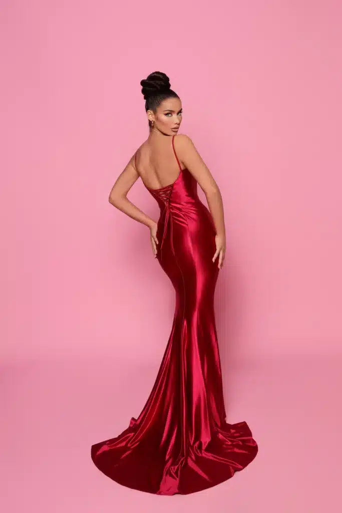 NP144 Ruby 1 Ball Gown back