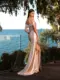 Ball Gown_NC2077 CHAMPAGNE Back