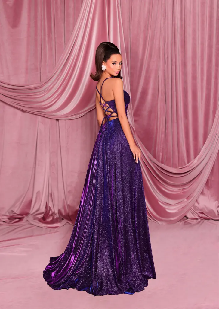 Nicoletta Ball Gown NC2029 PLUM back