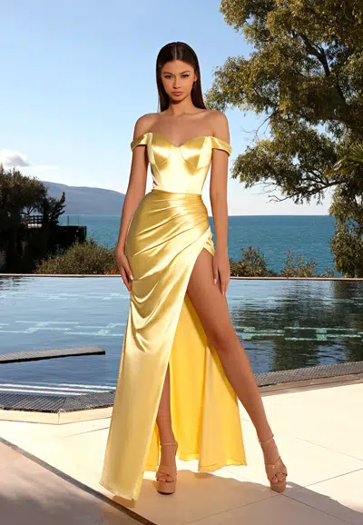 Nicoletta ball gown nc2087 feature